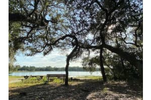 10819 190TH COURT, OCKLAWAHA, FL 32179 - MLS#MFRG5109089