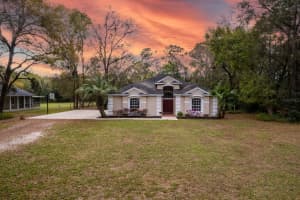 24520 ROLLING OAK ROAD, SORRENTO, FL 32776 - MLS#MFRG5109104