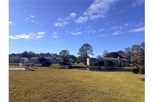 MLS# MFRG5109105, Wildwood, Florida 34785