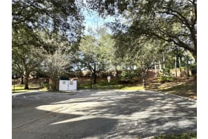 1101 VINTAGE VILLAGE LANE, OCOEE, FL 34761 - MLS#MFRG5109170