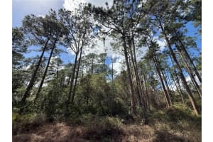 CASHEW ST, EUSTIS, FL 32736 - MLS#MFRG5109171