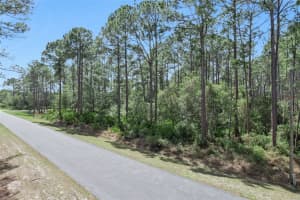 CASHEW ST, EUSTIS, FL 32736 - MLS#MFRG5109171