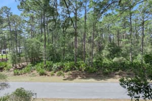 CASHEW ST, EUSTIS, FL 32736 - MLS#MFRG5109171