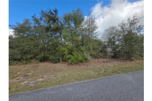 TBD LOCUST LOOP CIRCLE, OCALA, FL 34472 - MLS#MFRG5109189