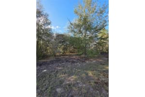 TBD LOCUST LOOP CIRCLE, OCALA, FL 34472 - MLS#MFRG5109189