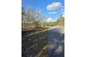 TBD LOCUST LOOP CIRCLE, OCALA, FL 34472 - MLS#MFRG5109189