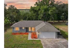 12584 WEDGEFIELD DRIVE, GRAND ISLAND, FL 32735 - MLS#MFRG5109195