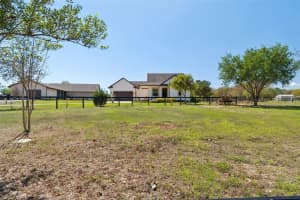 21210 HORSE RANCH RD, MOUNT DORA, FL 32757 - MLS#MFRG5109273