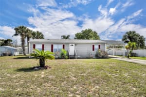 11412 PHEASANT TRAIL, LEESBURG, FL 34788 - MLS#MFRG5109341