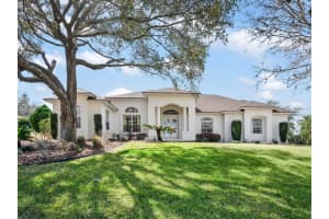 39407 TREELINE DRIVE, LADY LAKE, FL 32159 - MLS#MFRG5109392