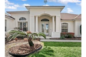 39407 TREELINE DRIVE, LADY LAKE, FL 32159 - MLS#MFRG5109392