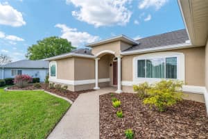 9037 136TH LOOP, SUMMERFIELD, FL 34491 - MLS#MFRG5109404