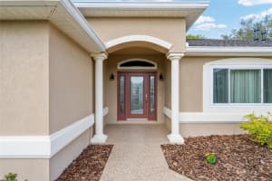 9037 136TH LOOP, SUMMERFIELD, FL 34491 - MLS#MFRG5109404