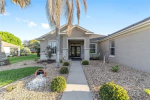 8723 130TH LOOP, SUMMERFIELD, FL 34491 - MLS#MFRG5109421