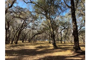 FOREST  02 RD, UMATILLA, FL 32784 - MLS#MFRG5109487