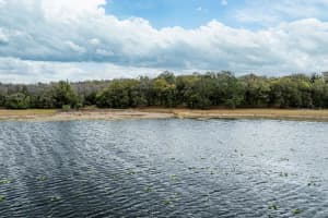 FOREST  02 RD, UMATILLA, FL 32784 - MLS#MFRG5109487