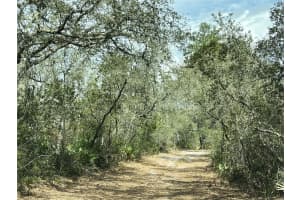 FOREST  02 RD, UMATILLA, FL 32784 - MLS#MFRG5109487