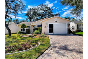 1254 CHAPARRAL DRIVE, THE VILLAGES, FL 32159 - MLS#MFRG5109506