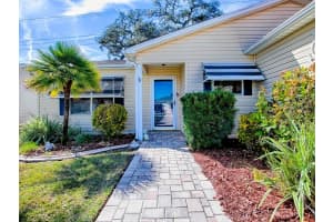 1254 CHAPARRAL DRIVE, THE VILLAGES, FL 32159 - MLS#MFRG5109506