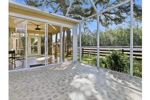 1254 CHAPARRAL DRIVE, THE VILLAGES, FL 32159 - MLS#MFRG5109506