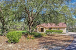 2588 COUNTY ROAD 245C, OXFORD, FL 34484 - MLS#MFRG5109522