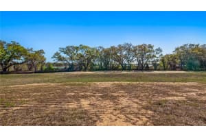 MARIGOLD BELLE CIR, CLERMONT, FL 34711 - MLS#MFRG5109551