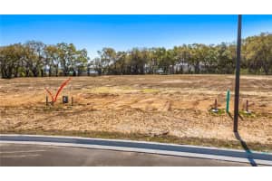 MARIGOLD BELLE CIR, CLERMONT, FL 34711 - MLS#MFRG5109553