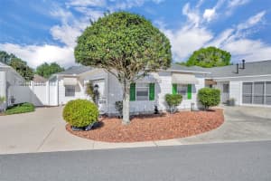 16820 80TH BATHURST COURT, THE VILLAGES, FL 32162 - MLS#MFRG5109578