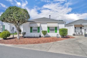 16820 80TH BATHURST COURT, THE VILLAGES, FL 32162 - MLS#MFRG5109578