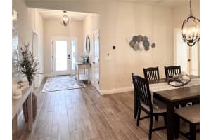 5596 MATANZAS LOOP, THE VILLAGES, FL 32163 - MLS#MFRG5109602