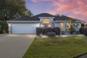 1271 Wheeling Way, THE VILLAGES