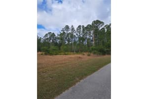 GREENGROVE BLVD, CLERMONT, FL 34714 - MLS#MFRG5109665