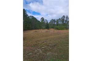 GREENGROVE BLVD, CLERMONT, FL 34714 - MLS#MFRG5109665