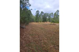 GREENGROVE BLVD, CLERMONT, FL 34714 - MLS#MFRG5109665