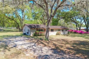 975 170TH STREET, SUMMERFIELD, FL 34491 - MLS#MFRG5109667