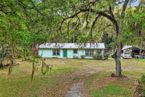 3336 COUNTY ROAD 510A, WILDWOOD, FL 34785 - MLS#MFRG5109677