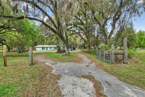 3336 COUNTY ROAD 510A, WILDWOOD, FL 34785 - MLS#MFRG5109677