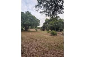 10963 SHELFER AVENUE, ARCADIA, FL 34266 - MLS#MFRG5109710