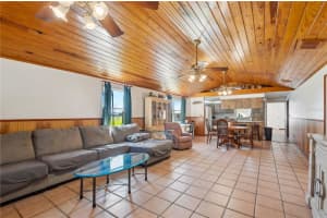 MLS# MFRG5109714, Webster, Florida 33597