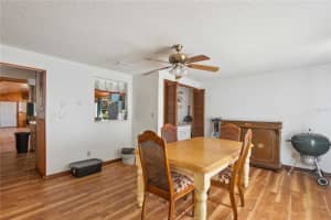 MLS# MFRG5109714, Webster, Florida 33597