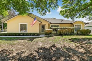 11748 Ocklawaha Dr, LEESBURG