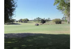 16913 88TH TRUMBULL TERRACE, THE VILLAGES, FL 32162 - MLS#MFRG5109826