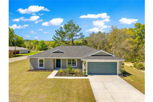 22 MALAUKA RUN LANE, OCKLAWAHA, FL 32179 - MLS#MFRG5109852