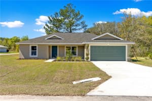 22 MALAUKA RUN LANE, OCKLAWAHA, FL 32179 - MLS#MFRG5109852