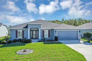 4541 SHENANDOAH RIVER TRAIL, LEESBURG, FL 34748 - MLS#MFRG5109866