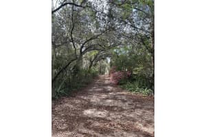 10679 GOOSE PRAIRIE ROAD, LEESBURG, FL 34788 - MLS#MFRG5109886