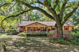 14370 CO RD 751, WEBSTER, FL 33597 - MLS#MFRG5109933