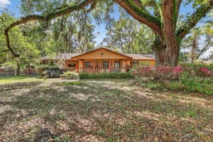 14370 CO RD 751, WEBSTER, FL 33597 - MLS#MFRG5109933