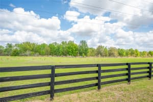 1647 CAMPOS DRIVE, THE VILLAGES, FL 32162 - MLS#MFRG5109959