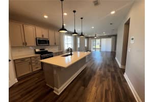 2448 SPRING BREEZE DRIVE, LEESBURG, FL 34748 - MLS#MFRG5109962
